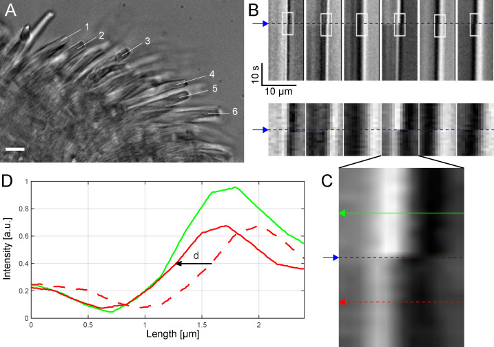 Fig 4