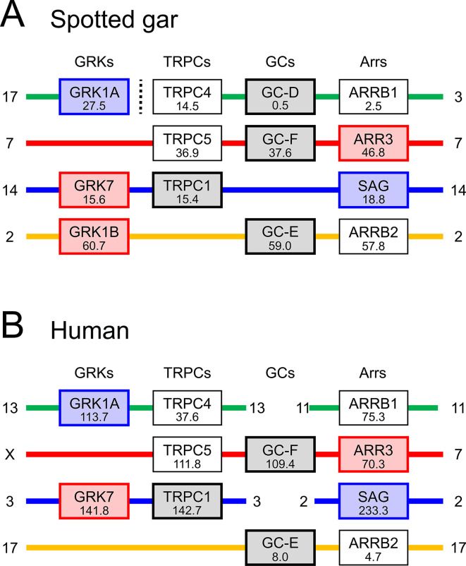 Fig 6