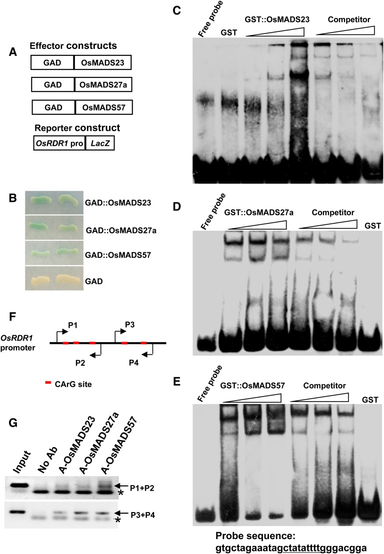 Figure 6.