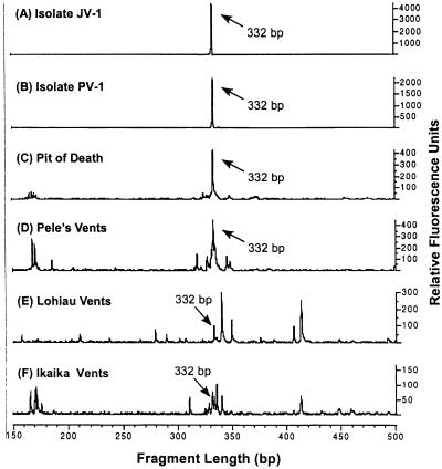 FIG. 8.