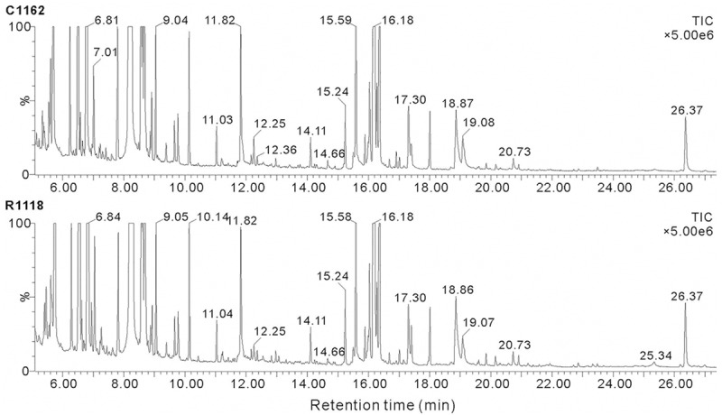 Figure 2