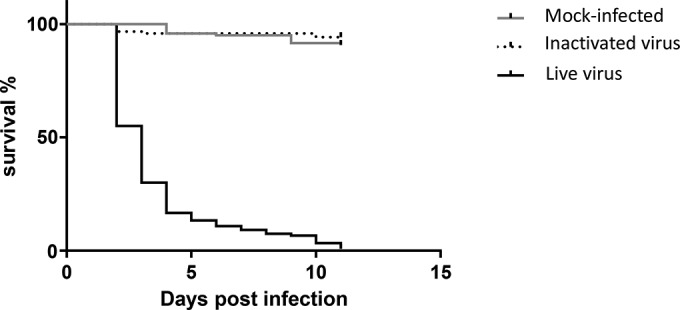 FIG 3