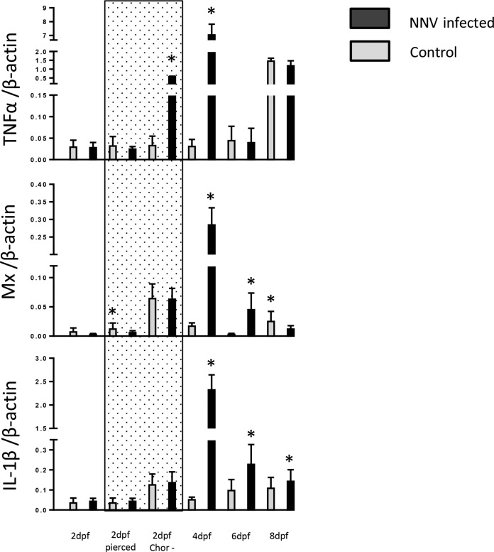 FIG 6