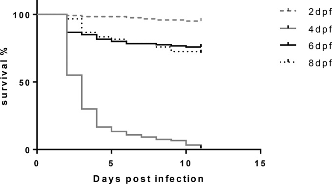 FIG 2