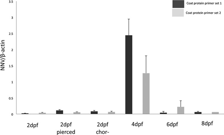 FIG 1