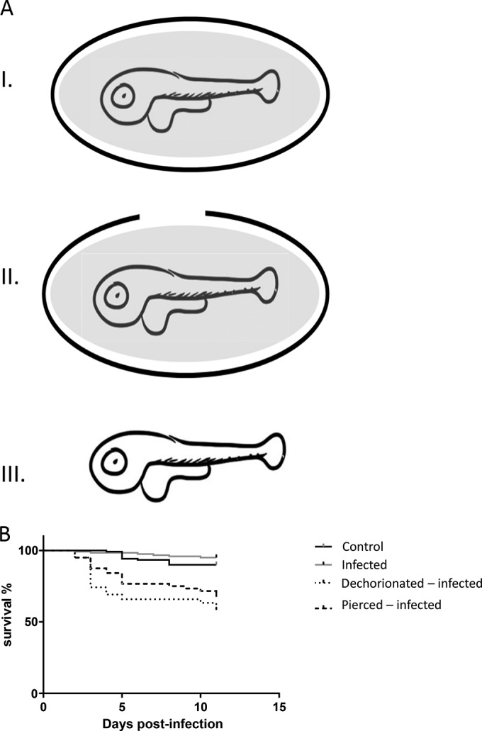 FIG 5