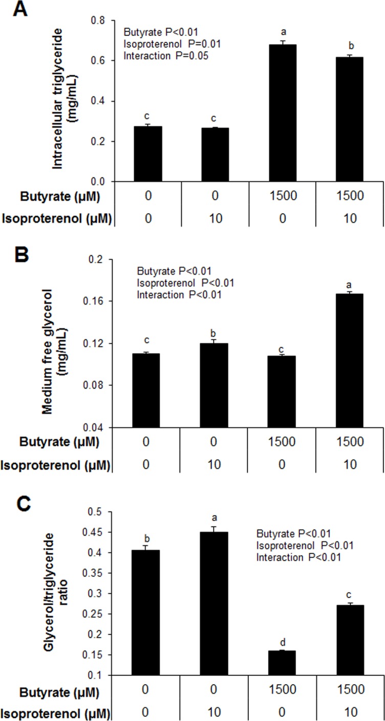 Fig 10