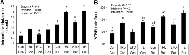 Fig 13