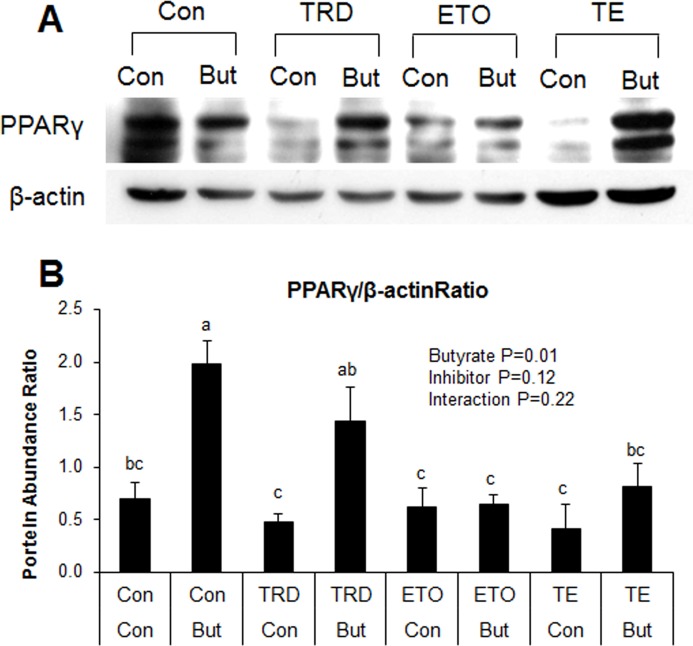 Fig 12