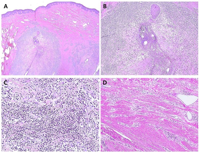 Fig 3