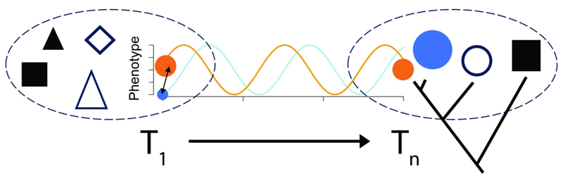 Figure. 1