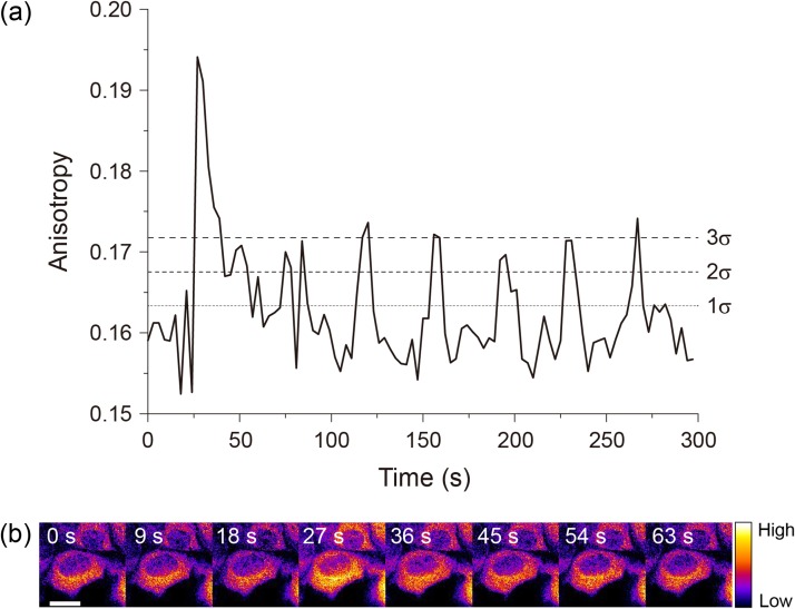 Fig. 3.