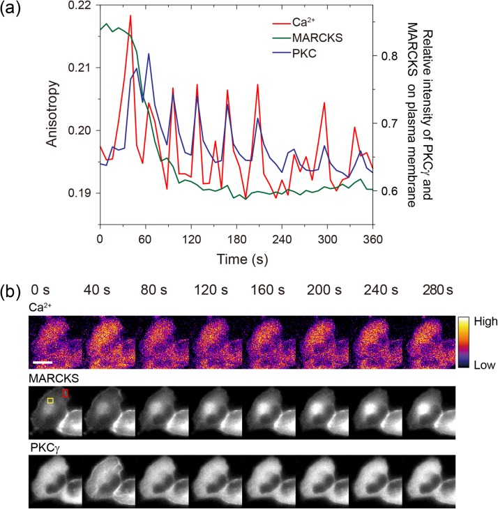 Fig. 4.