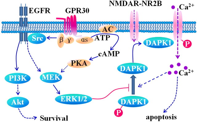 Figure 11.