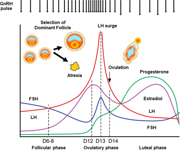 FIGURE 3