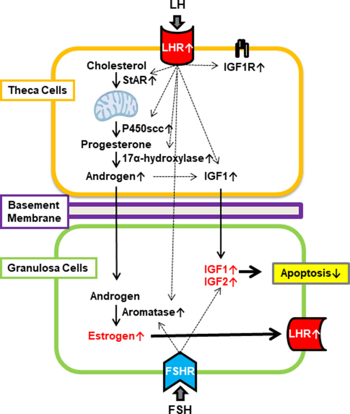 FIGURE 2