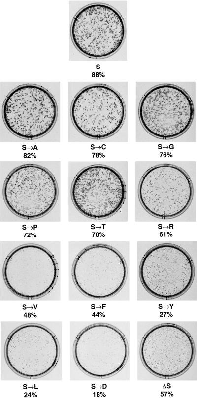 FIG. 5