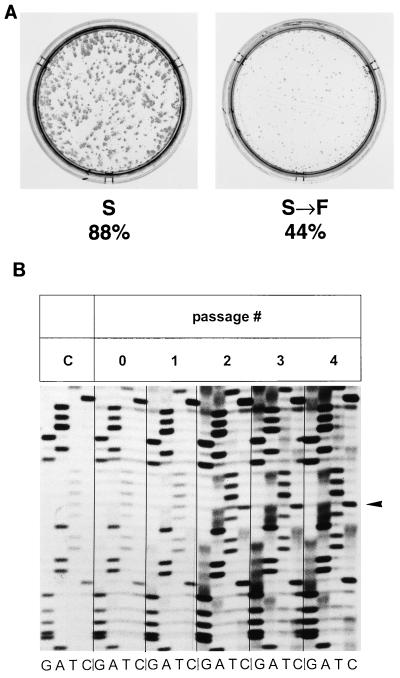 FIG. 4