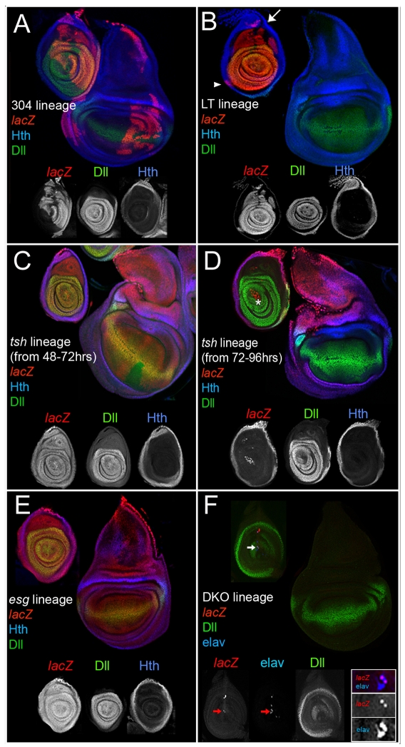 Fig. 2.