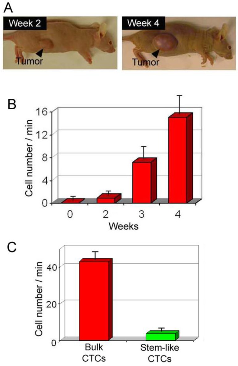 Figure 19