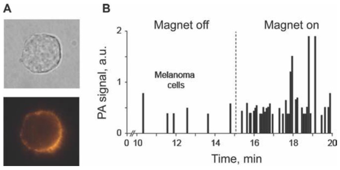 Figure 16