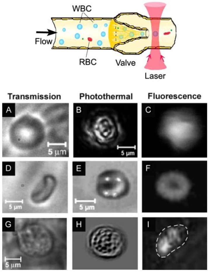 Figure 22