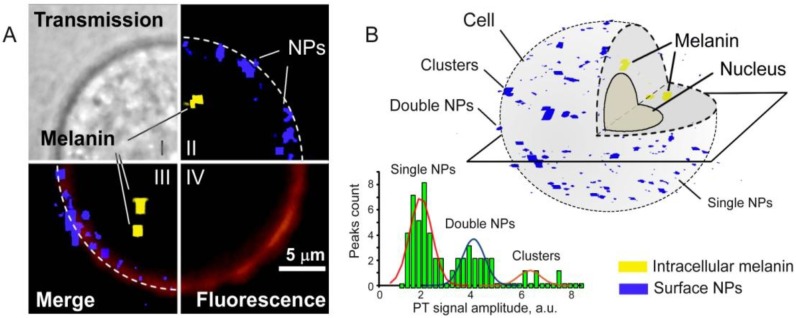 Figure 15