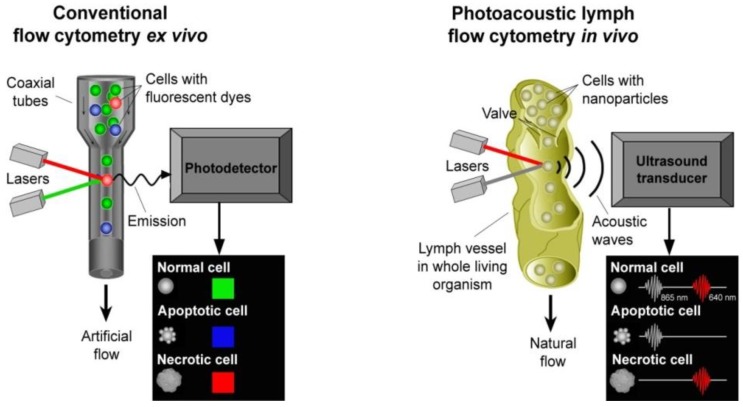 Figure 20