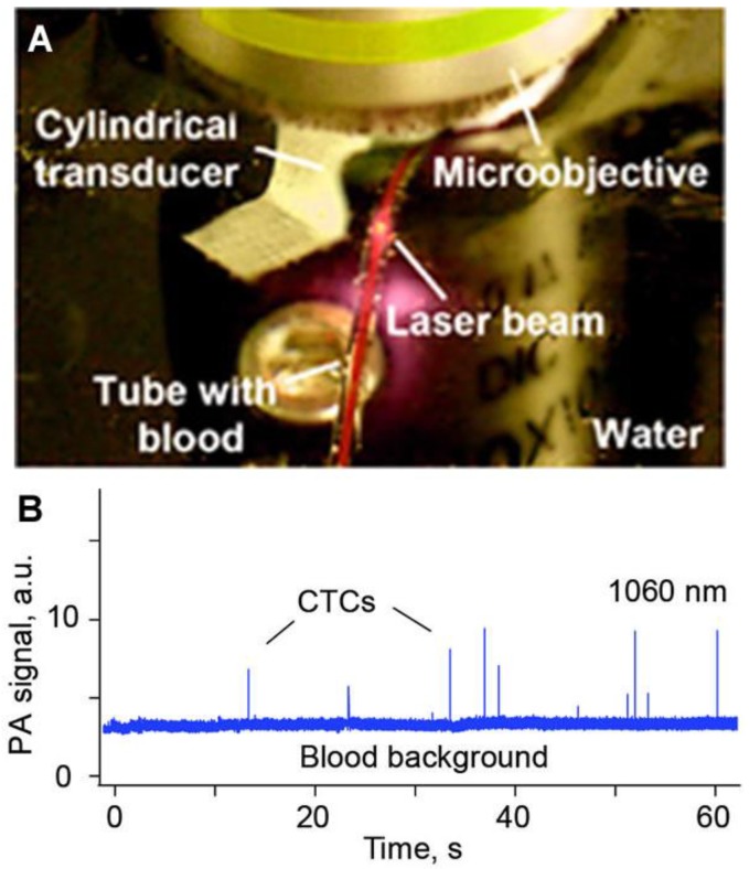 Figure 28