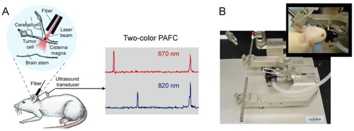 Figure 23