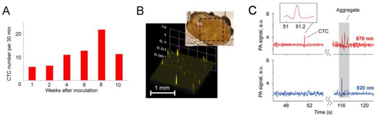 Figure 24