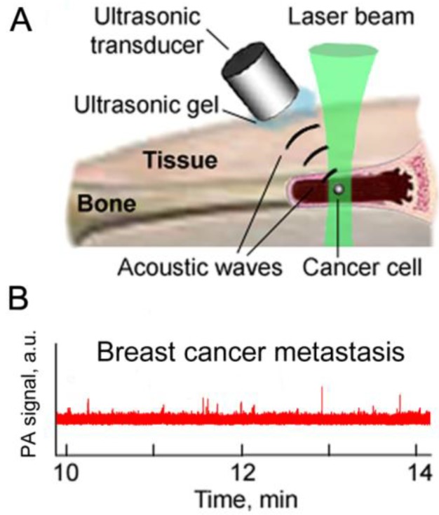 Figure 25