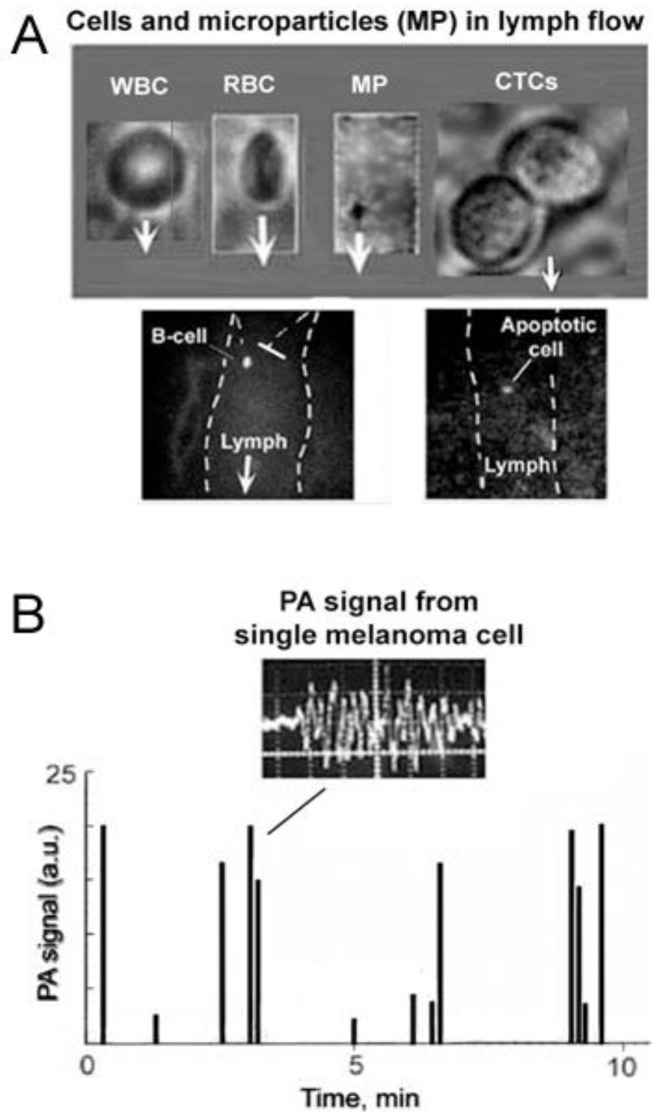 Figure 21