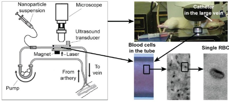 Figure 26