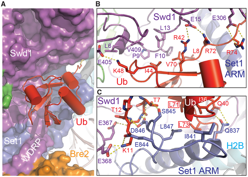 Figure 6.