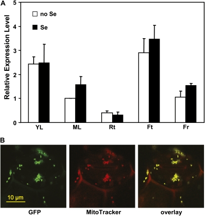 Figure 6.