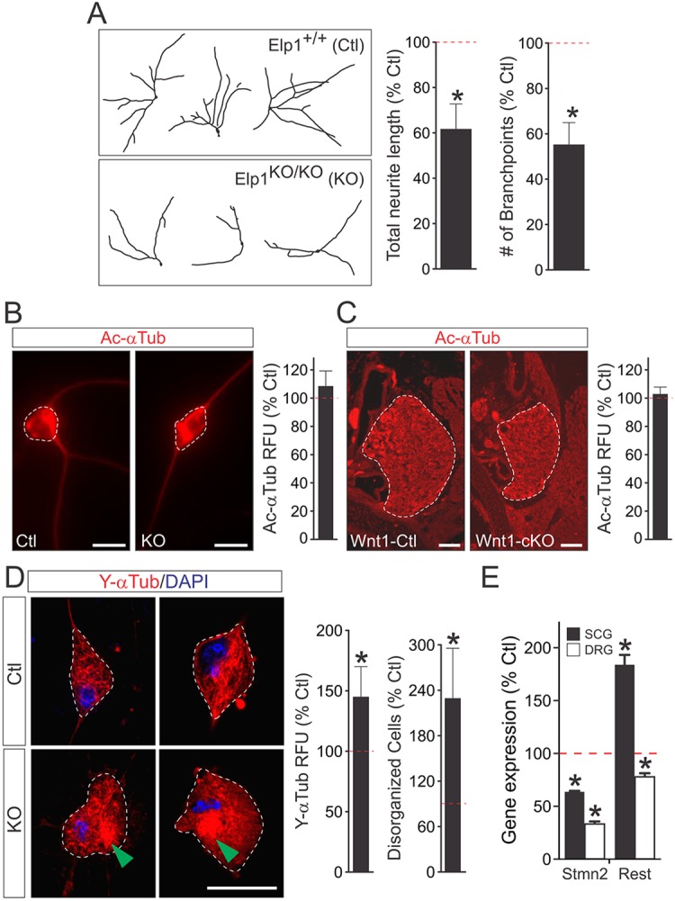 Fig. 8.