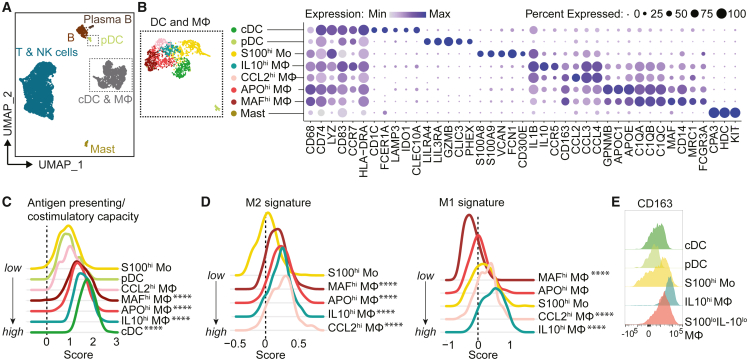 Figure 2