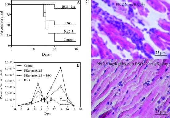 FIG. 3.