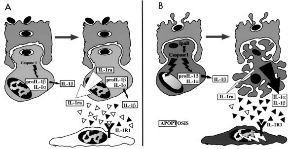 FIG. 6