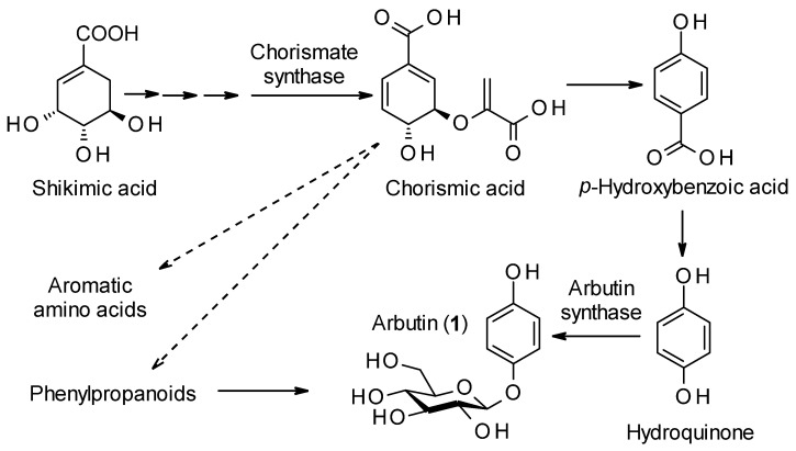 Scheme 1