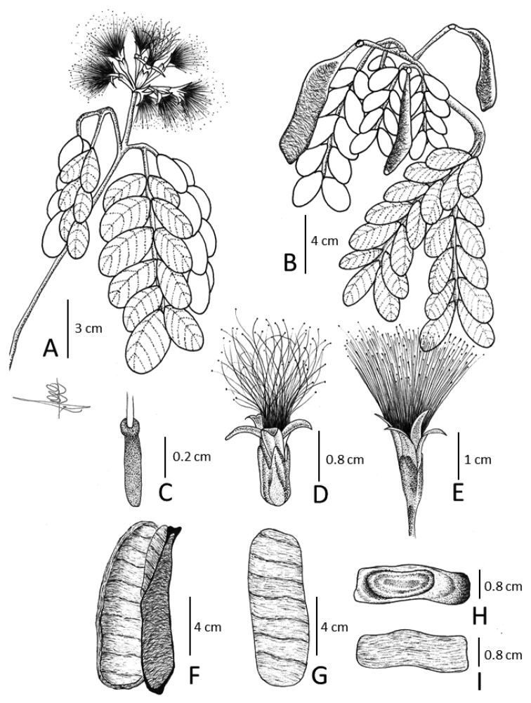 Figure 8.