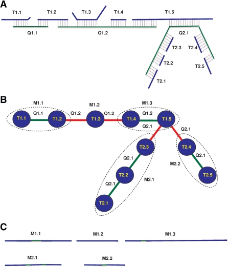 Fig. 1.