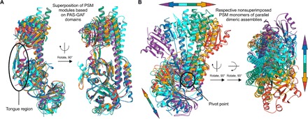 Fig. 4