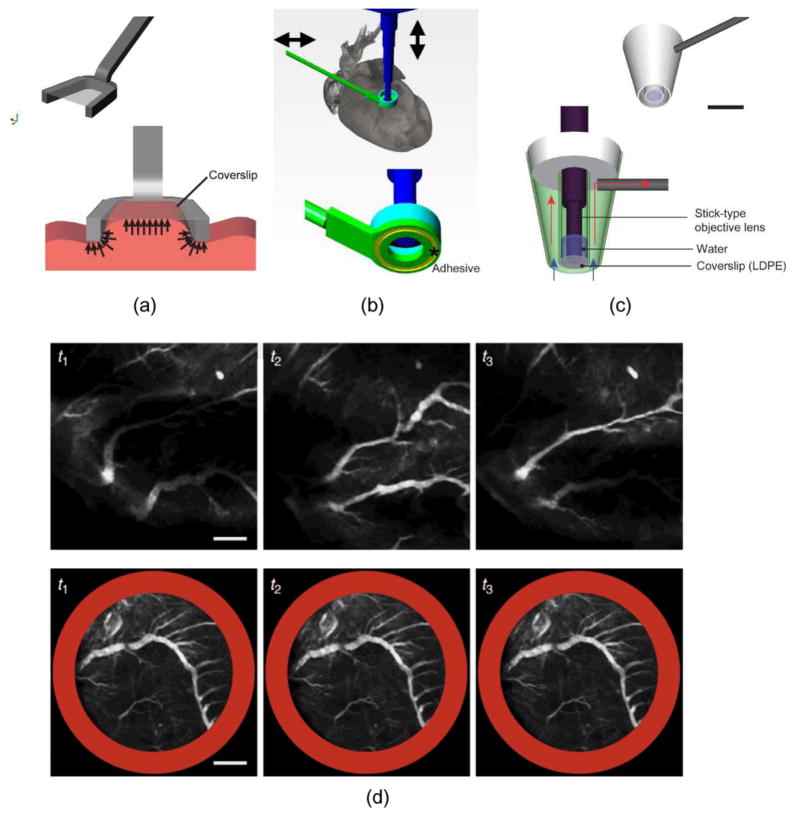 Fig. 2