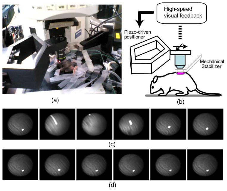 Fig. 3