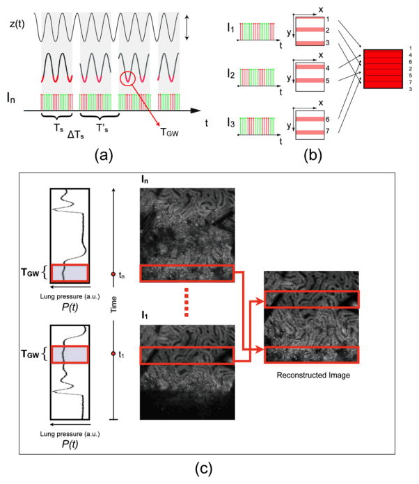 Fig. 6