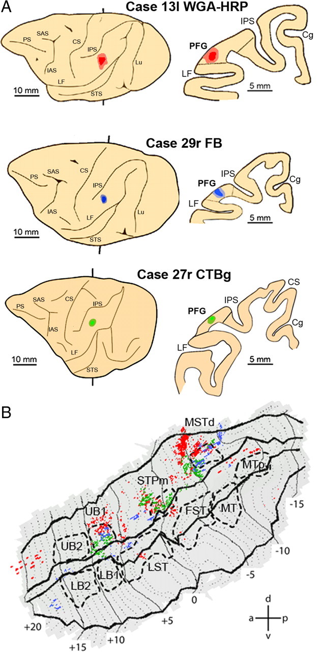 Figure 7.