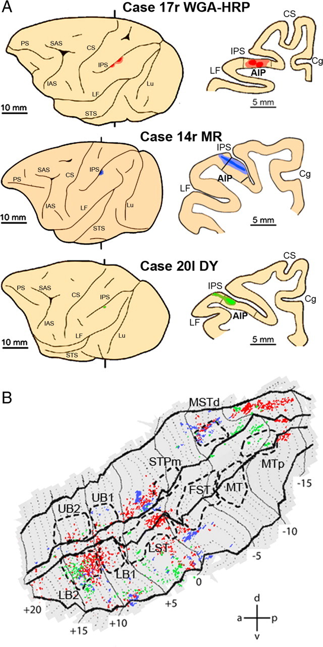 Figure 9.