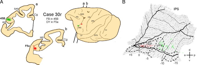 Figure 11.